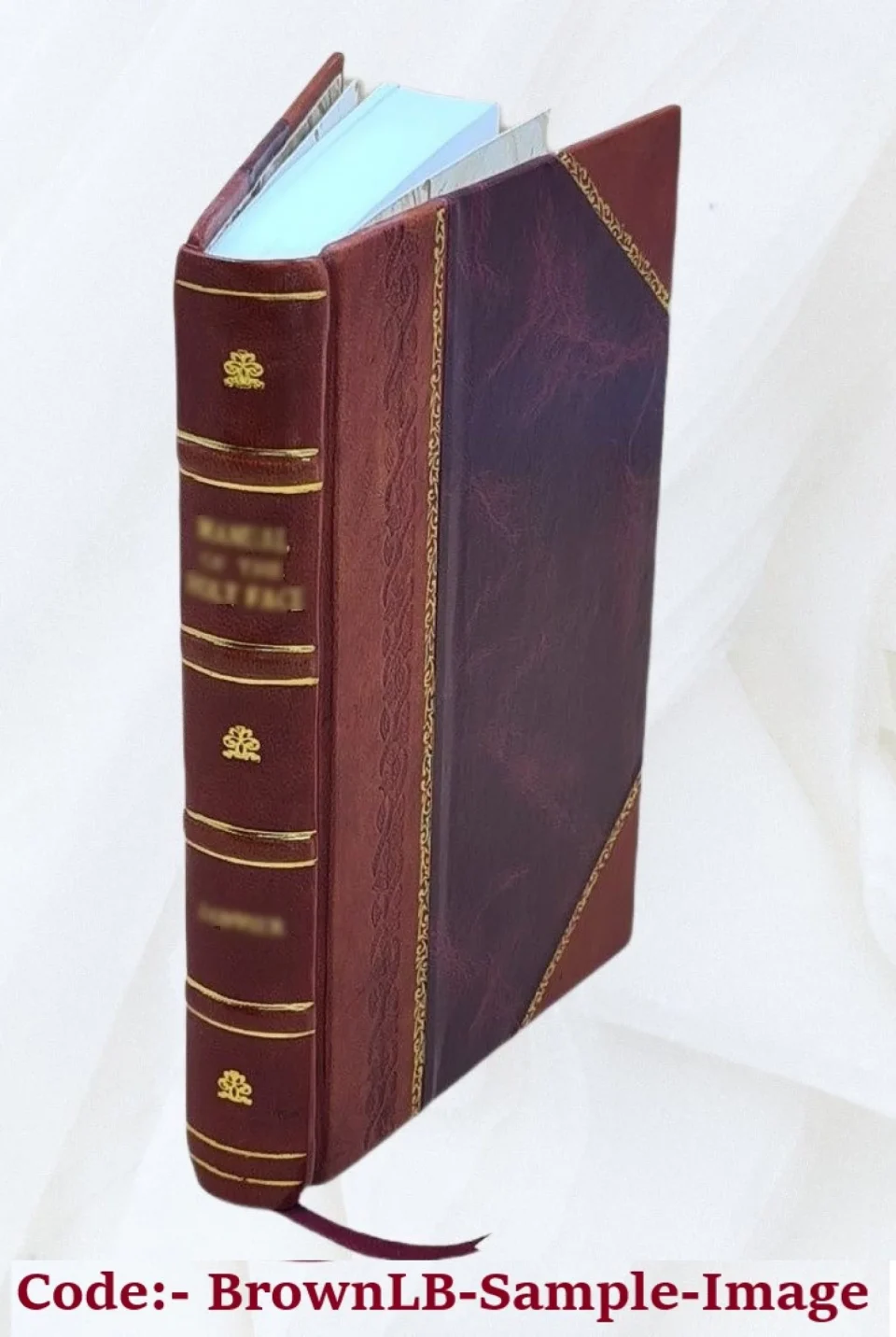 BPA-Free Popular The grace of Christ, or Sinners saved by unmerited kindness 1853 [Leather Bound]