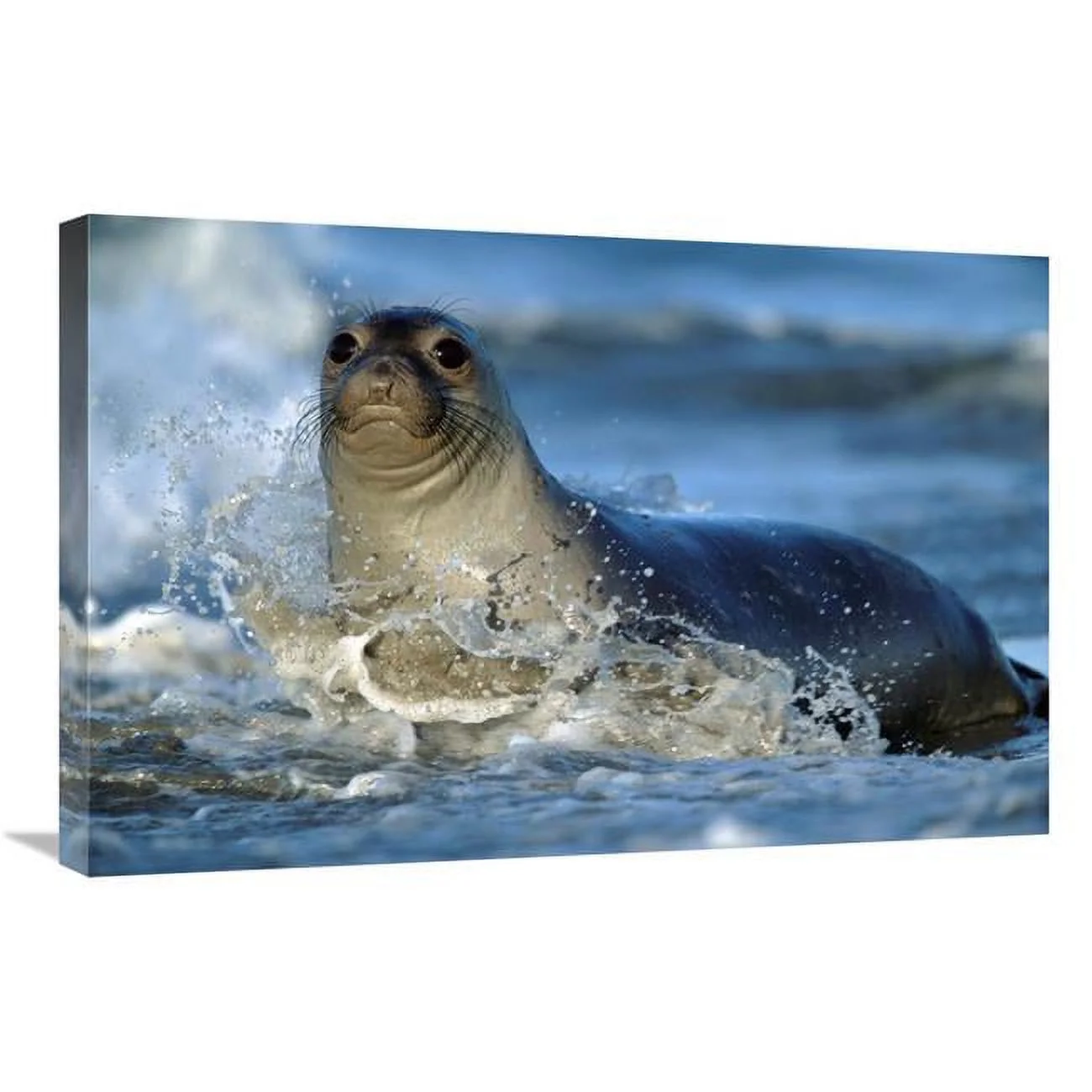 mart-item-img_6a5e0ddea354a5.64568962-551
